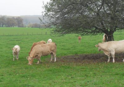 Crise agricole et intérêts des consommateurs : lettre ouverte à Mme La Préfète de la Sarthe