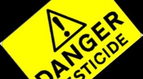 Danger pesticides : information pour les particuliers