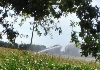 Sécheresse : à quand une vraie réforme de la politique agricole de l’eau ?