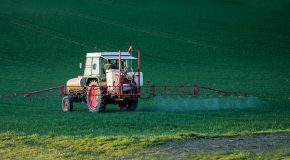 Pesticides : les Sages sanctionnent une concertation locale biaisée