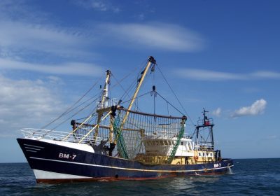 La pêche durable reste à quai ! #OnVeutPlusDuChalut