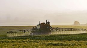 Pesticides à risques, 50 % de fruits et légumes contaminés : Le temps n’est plus au laxisme avec les pesticides
