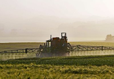 Pesticides à risques, 50 % de fruits et légumes contaminés : Le temps n’est plus au laxisme avec les pesticides