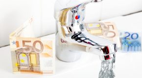 Affaire VEOLIA