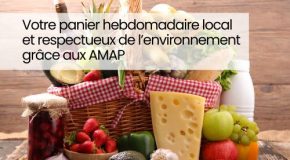 Votre panier hebdomadaire local et respectueux de l’environnement grâce aux AMAP