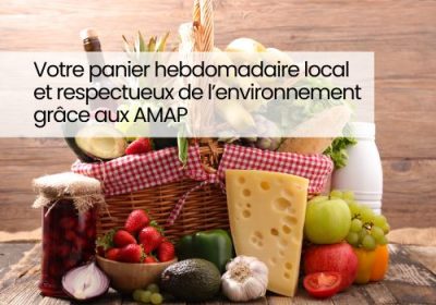 Votre panier hebdomadaire local et respectueux de l’environnement grâce aux AMAP